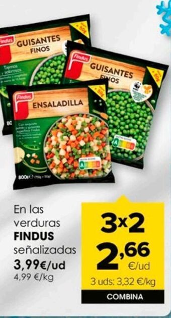 Autoservicios Familia Verduras congeladas findus oferta