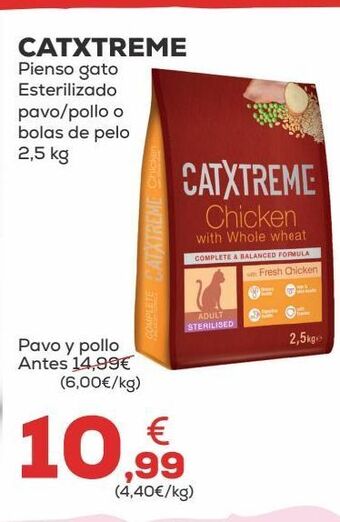 Kiwoko Pienso para gatos oferta