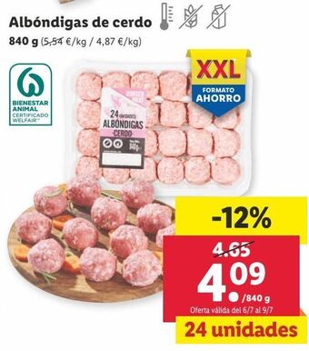 Lidl Albóndigas oferta
