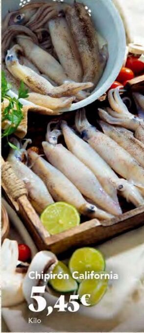 Gadis Chipirones oferta