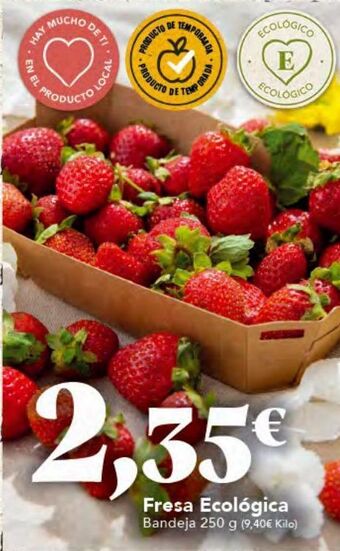 Gadis Fresas oferta