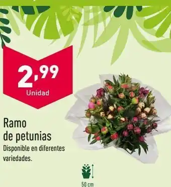 ALDI Ramo de petunia oferta