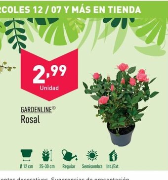 ALDI GARDENLINEⓇ Rosal oferta