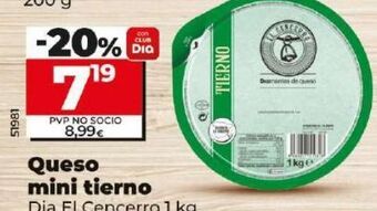 Dia Queso mini tierno oferta