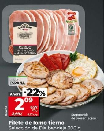 Dia Filete de lomo tierno oferta