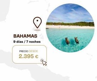 Viajes Eroski Bahamas 9 días / 7 noches precio desde 2.395 € oferta