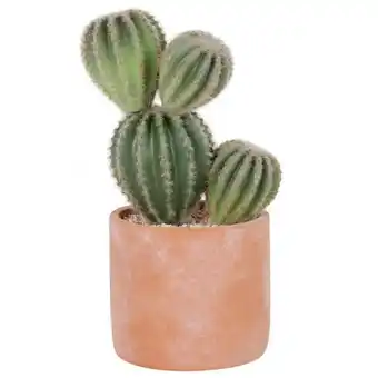 Cactus artificiel vers et pot en ciment terracotta