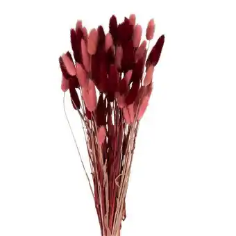 Maisons du Monde Bouquet de chatons séchés rose fuchsia oferta