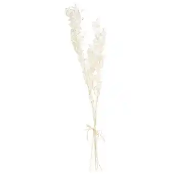 Maisons du Monde Bouquet de fleurs séchées blanches oferta
