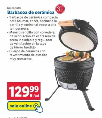 Lidl Barbacoa de cerámica oferta