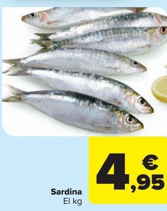 Carrefour Market Sardina oferta