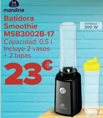 Carrefour Batidora smoothie msb3002b-17 mandine oferta
