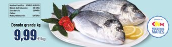 FROIZ Dorada grande kg oferta