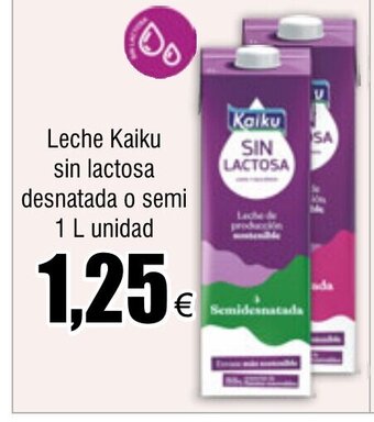 FROIZ Leche Kaiku sin lactosa desnatada o semi 1 L unidad oferta
