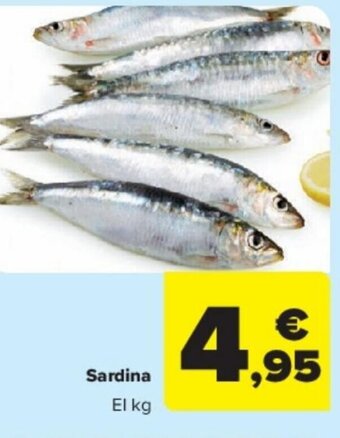 Carrefour Sardina El kg oferta
