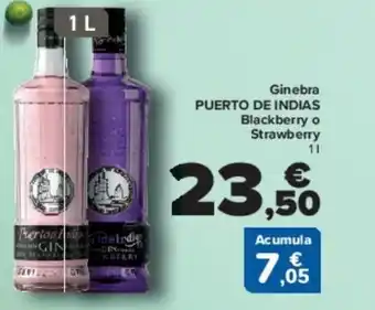 Carrefour Ginebra PUERTO DE INDIAS Blackberry o Strawberry oferta