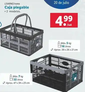 Lidl Caja plegable livarno oferta