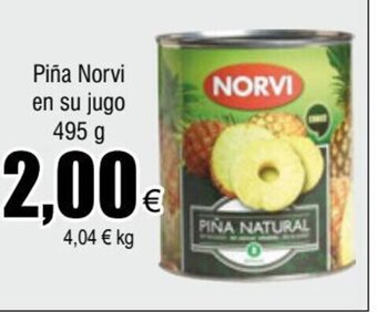 FROIZ Piña Norvi en su jugo 495 g oferta