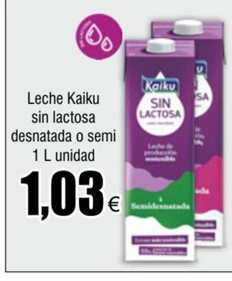 FROIZ Leche Kaiku sin lactosa desnatada o semi 1 L unidad oferta
