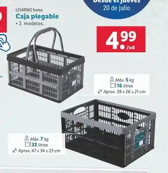 Lidl Caja plegable • 2 modelos. oferta