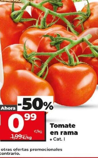 Dia Tomate en rama oferta