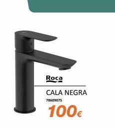 Roca cala negra 78609075 100€