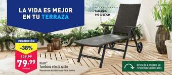 ALDI BELAVI Tumbona efecto ratán oferta
