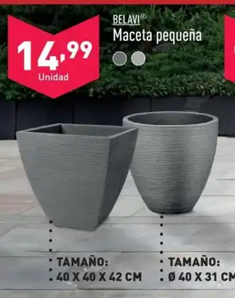 ALDI BELAVIⓇ Maceta pequeña oferta