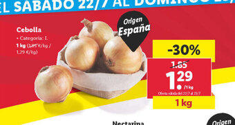 Lidl Cebolla oferta