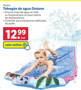 Lidl Playtive Tobogán de agua Océano oferta