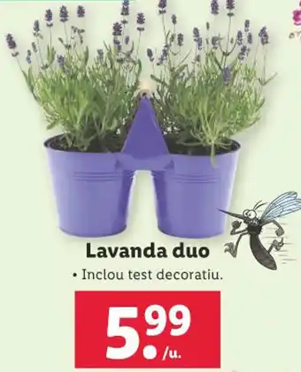 Lidl Lavanda duo oferta
