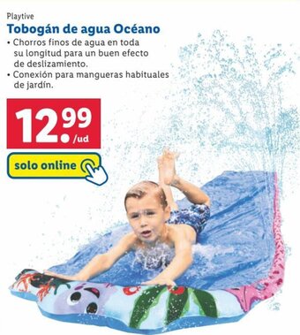 Lidl Playtive Tobogán de agua Océano oferta