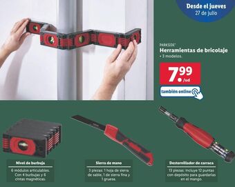 Lidl Herramientas parkside oferta