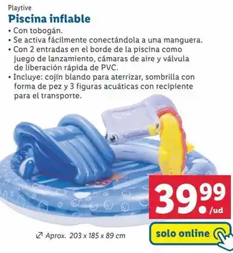 Lidl Piscina hinchable playtive oferta