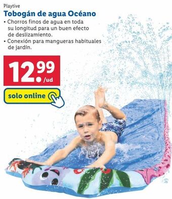 Lidl Tobogán playtive oferta