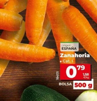 Dia Zanahoria rallada oferta