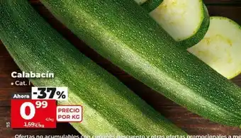 Dia Calabacines oferta