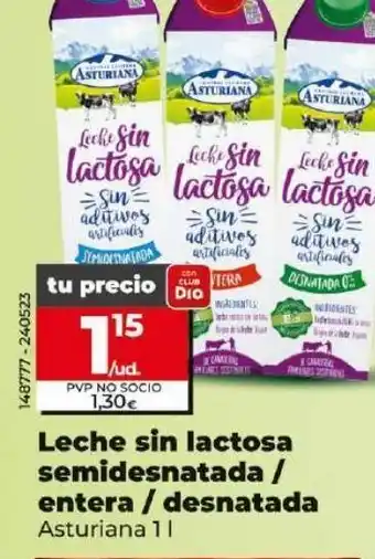 Dia Leche sin lactosa asturiana oferta