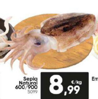 Family Cash Sepia Natural 600/900 5099 oferta