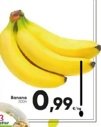Family Cash Banana 3004 oferta