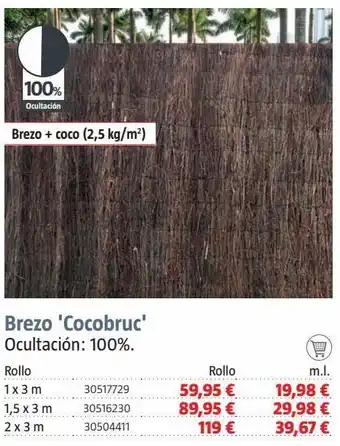Bauhaus Brezo oferta