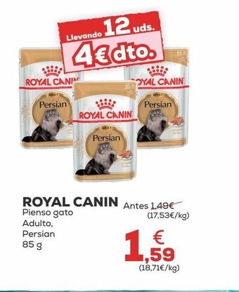 Kiwoko Pienso para gatos royal canin oferta