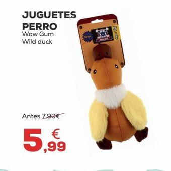 Kiwoko Juguetes para perros oferta
