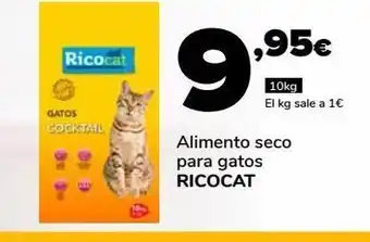 Supeco Alimento seco para gatos riocat 10kg oferta