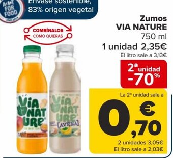 Carrefour Zumos VIA NATURE oferta