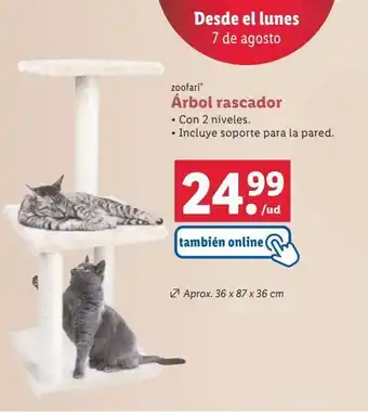 Lidl Rascador para gatos oferta