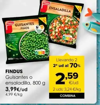Autoservicios Familia Verduras congeladas findus oferta