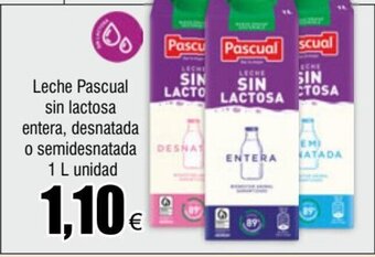 FROIZ Leche Pascual sin lactosa entera, desnatada oferta