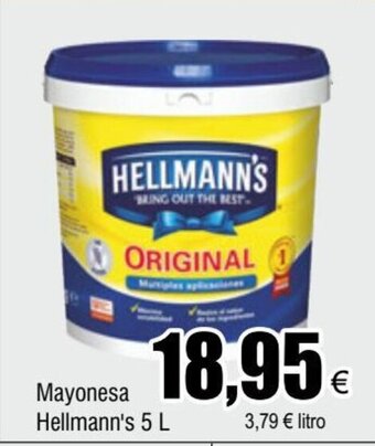 FROIZ Mayonesa Hellmann's 5 L oferta