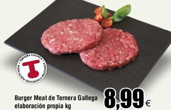 FROIZ Burger Meat de Ternera Gallega elaboración propia kg oferta